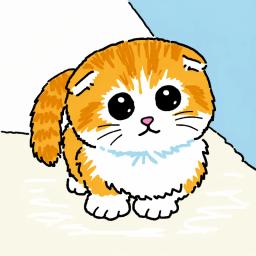 발로란트하는 고양이