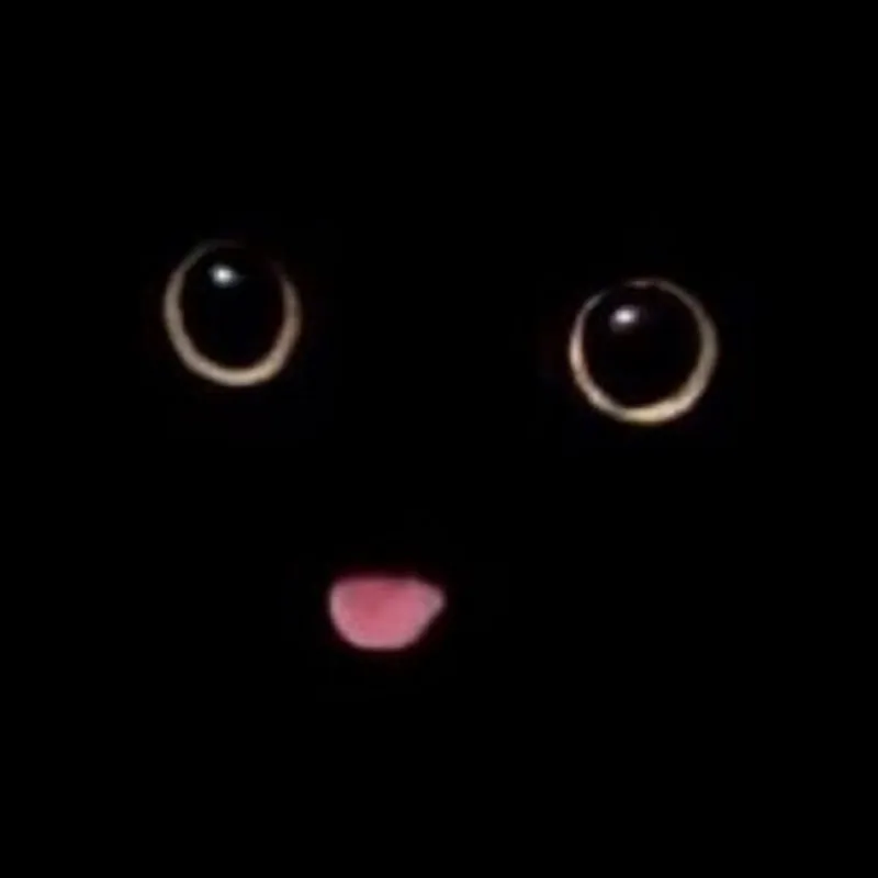 유니버스 레이블 서도환