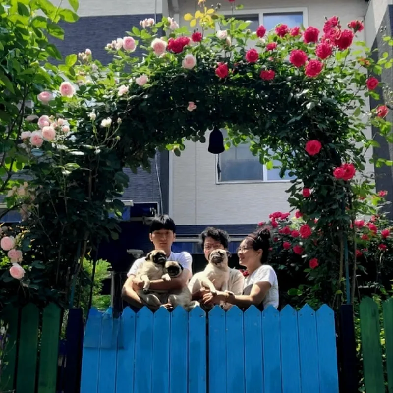 미래•정원의일상