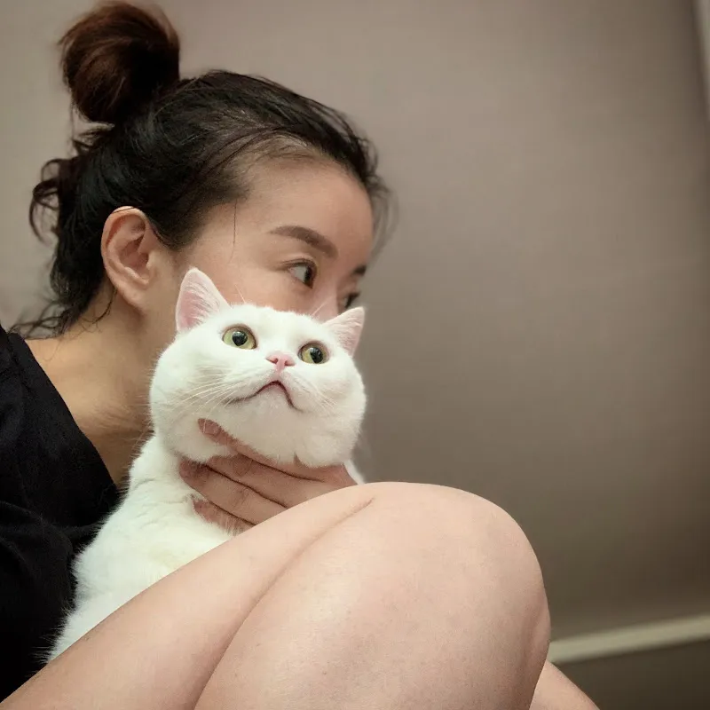 고양이와 미들라이프