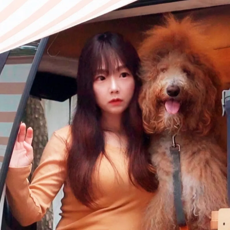 헤즐쓰 Hazels Camp