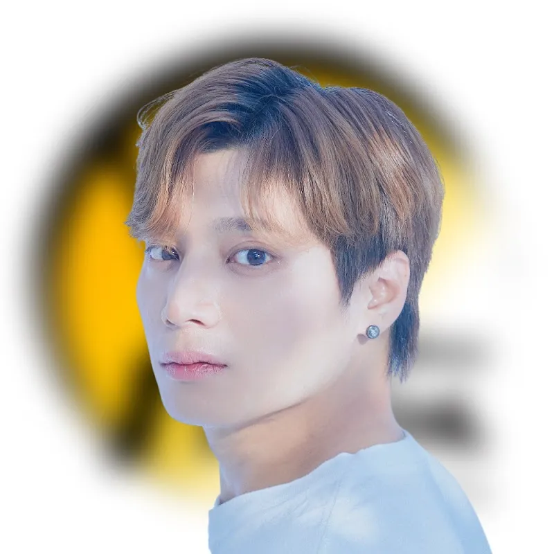 팀일루션 노성율