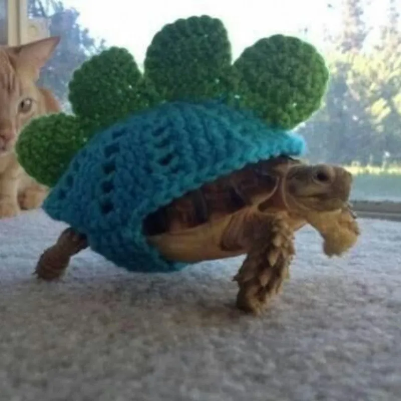 음악채널 구밍 ^0^